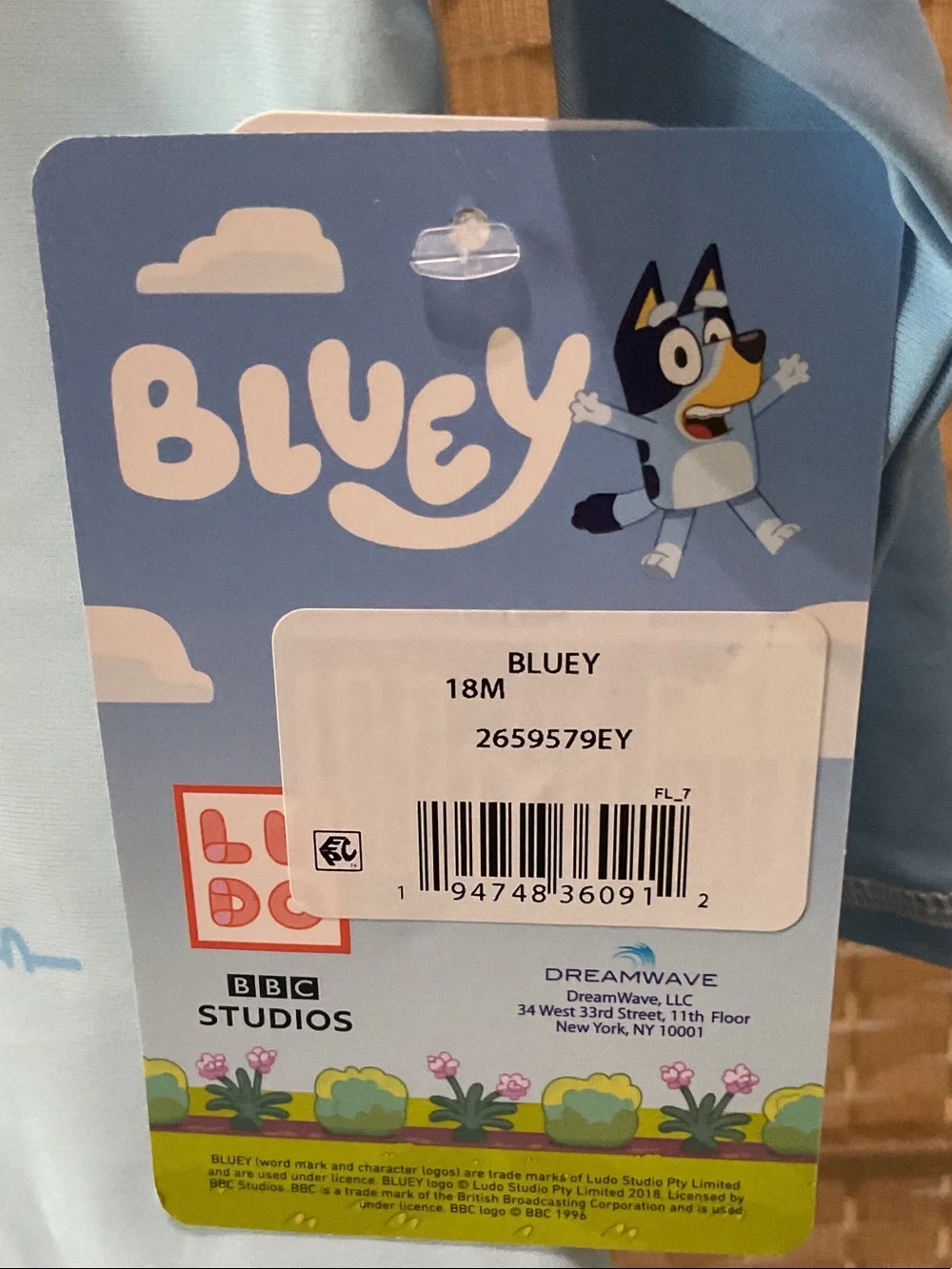 Kids Bluey 'Let's Explore' Swim Trunks Set
